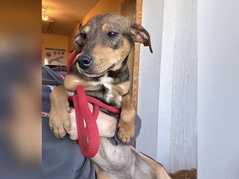 Aika ein Engel auf Erden
