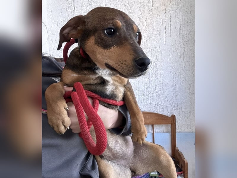 Aika ein Engel auf Erden