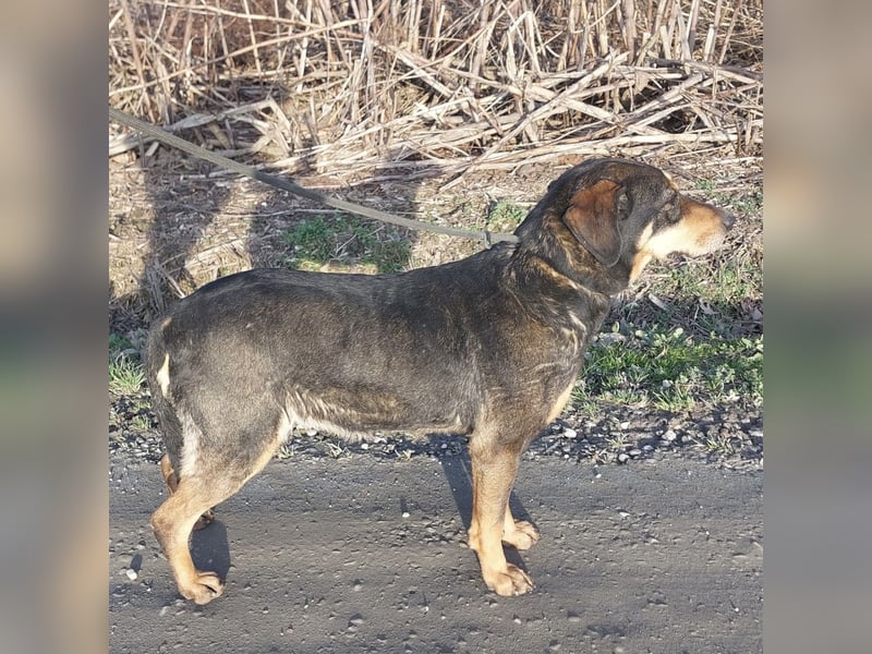 Zaira eine sanfte Seele