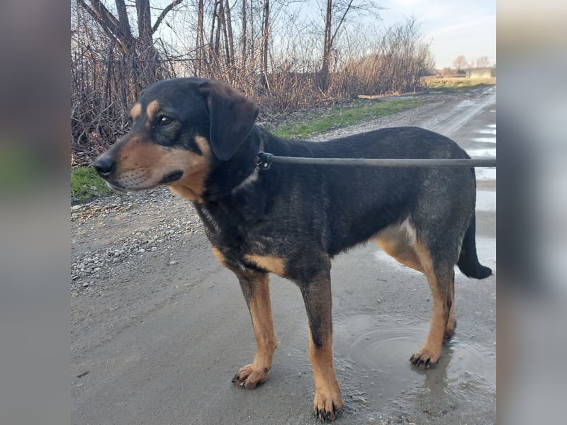 Zaira eine sanfte Seele