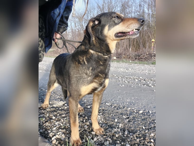 Zaira eine sanfte Seele