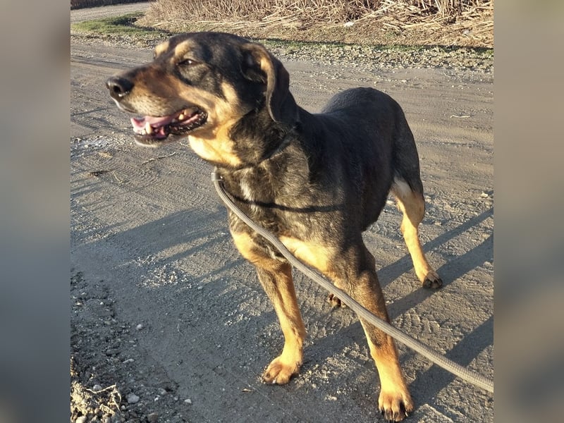 Zaira eine sanfte Seele