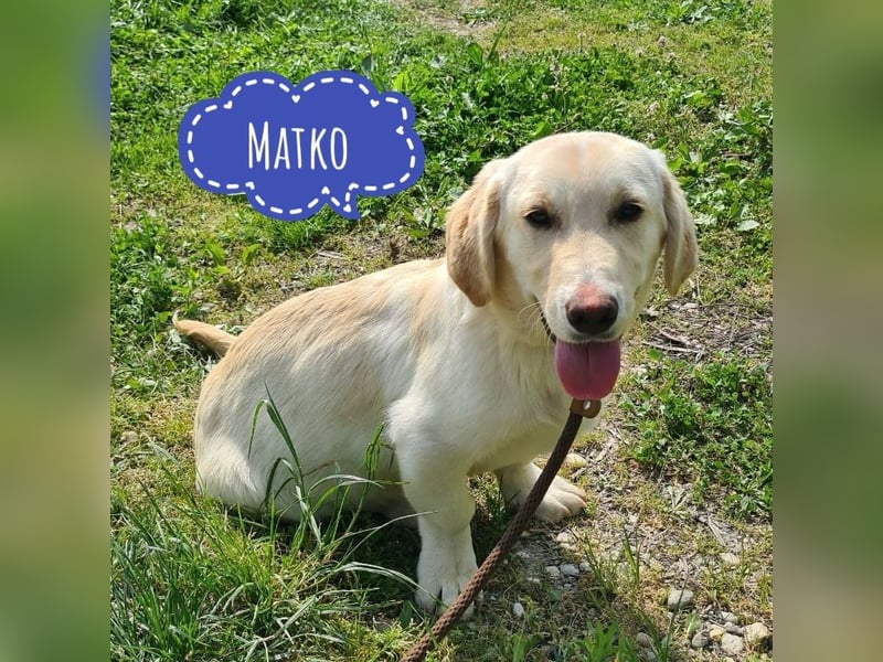Matko ein absoluter Engel