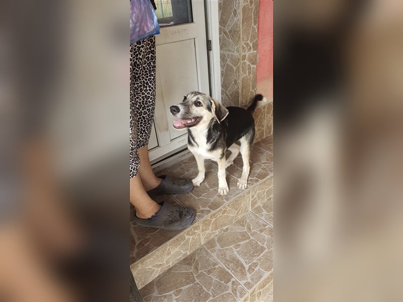 Süsse Clara 5.5 Monate ❤