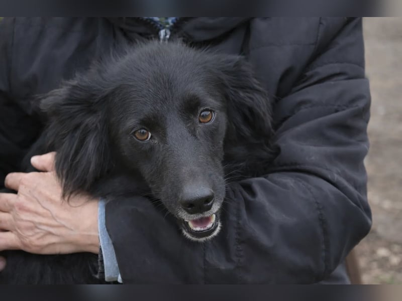 Rosi - voller Sehnsucht