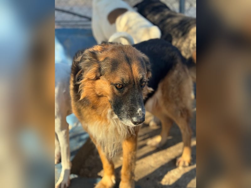 Rio, freundlich, sozial und gelassen