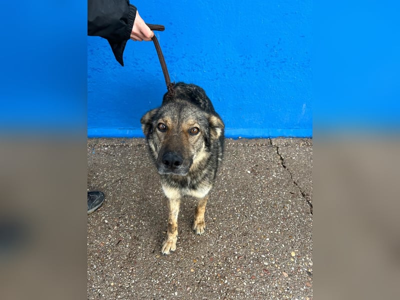 Yuma, freundlich und sozialverträglich