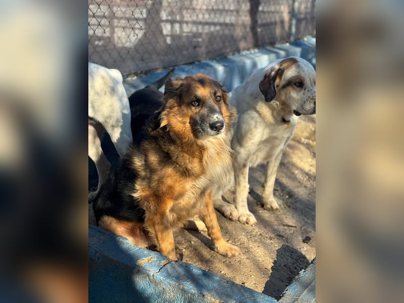 Rio, freundlich, sozial und gelassen