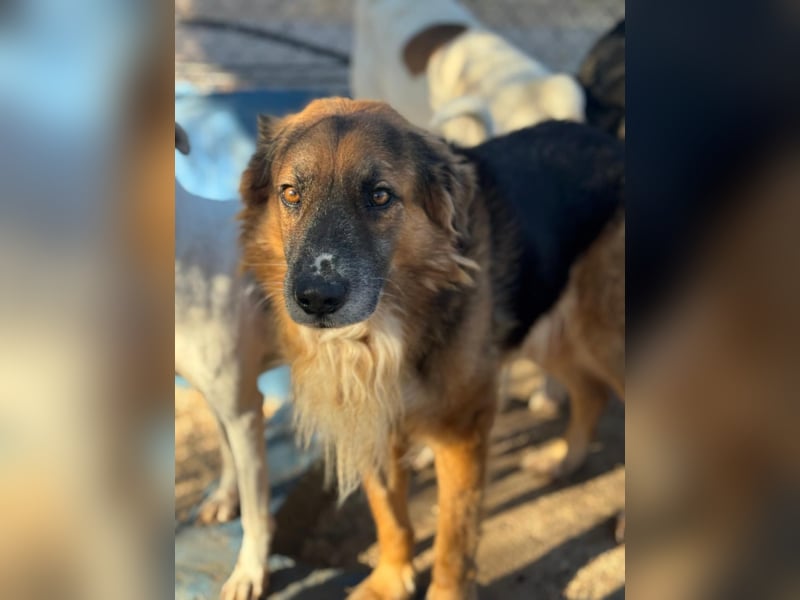 Rio, freundlich, sozial und gelassen