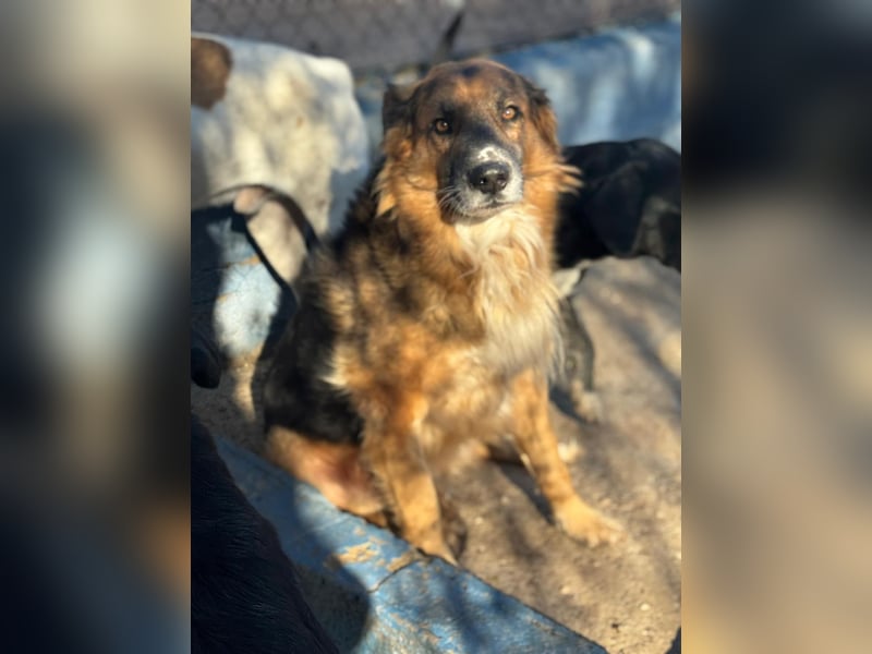 Rio, freundlich, sozial und gelassen