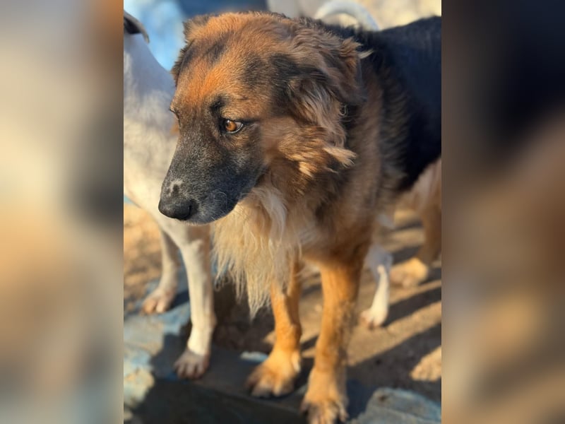 Rio, freundlich, sozial und gelassen