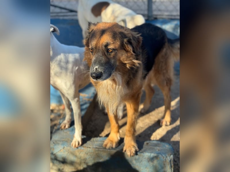 Rio, freundlich, sozial und gelassen