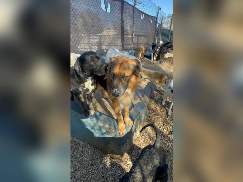 Rio, freundlich, sozial und gelassen