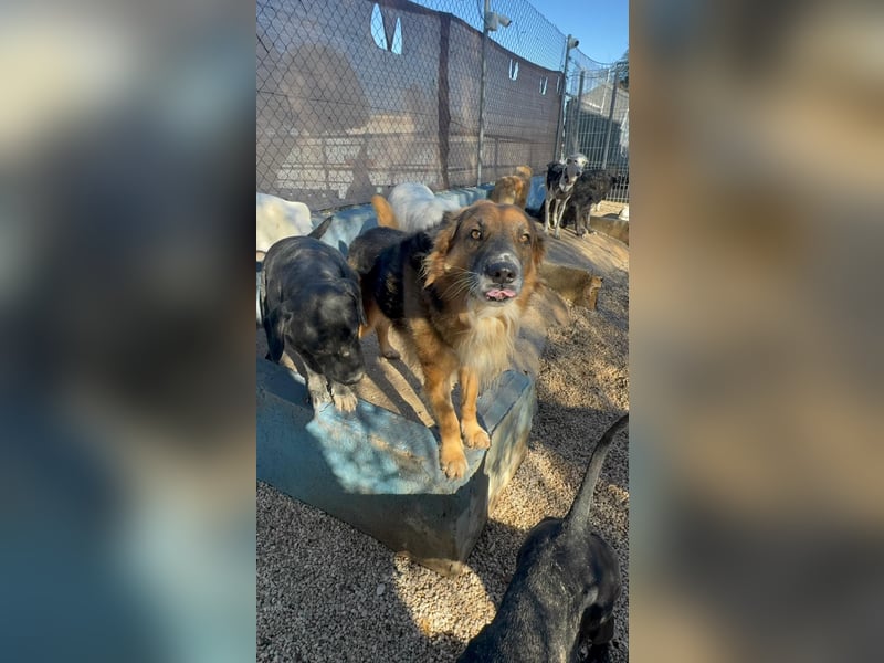 Rio, freundlich, sozial und gelassen