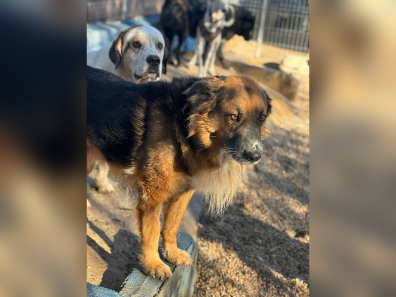 Rio, freundlich, sozial und gelassen