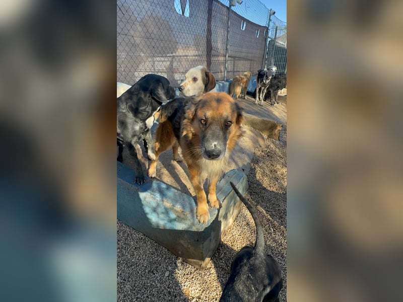 Rio, freundlich, sozial und gelassen