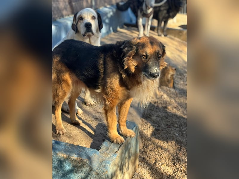 Rio, freundlich, sozial und gelassen