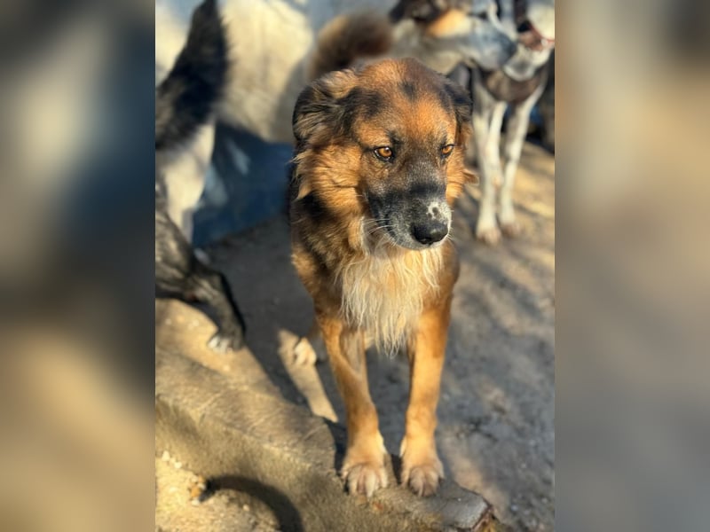 Rio, freundlich, sozial und gelassen