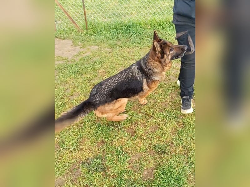 Marvel sucht ihren Menschen