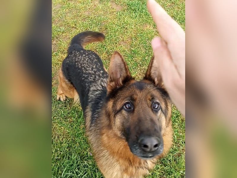 Marvel sucht ihren Menschen