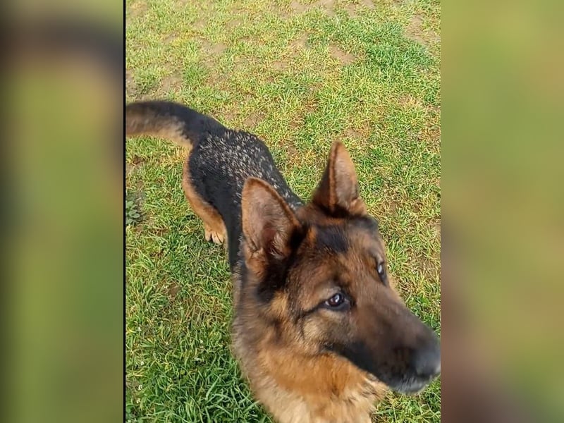 Marvel sucht ihren Menschen