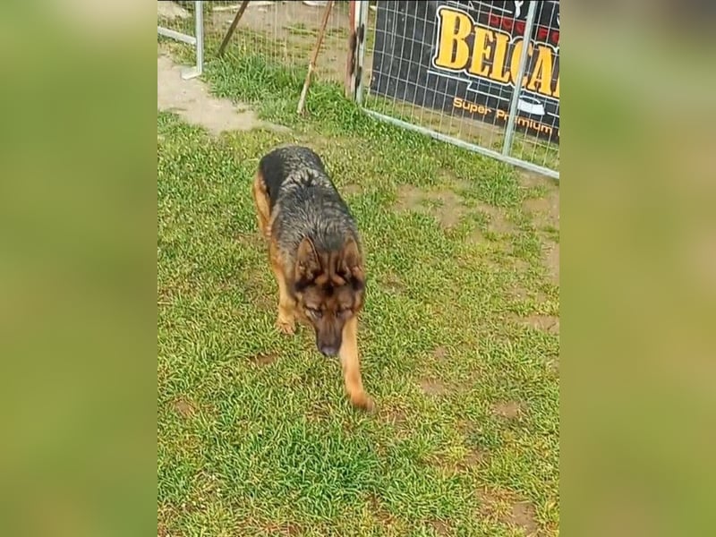 Marvel sucht ihren Menschen