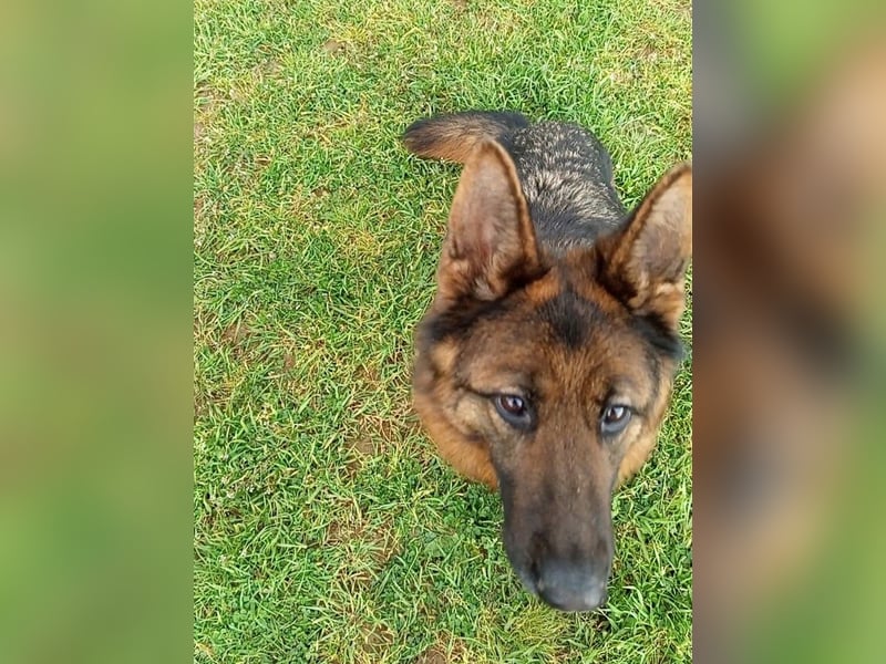 Marvel sucht ihren Menschen