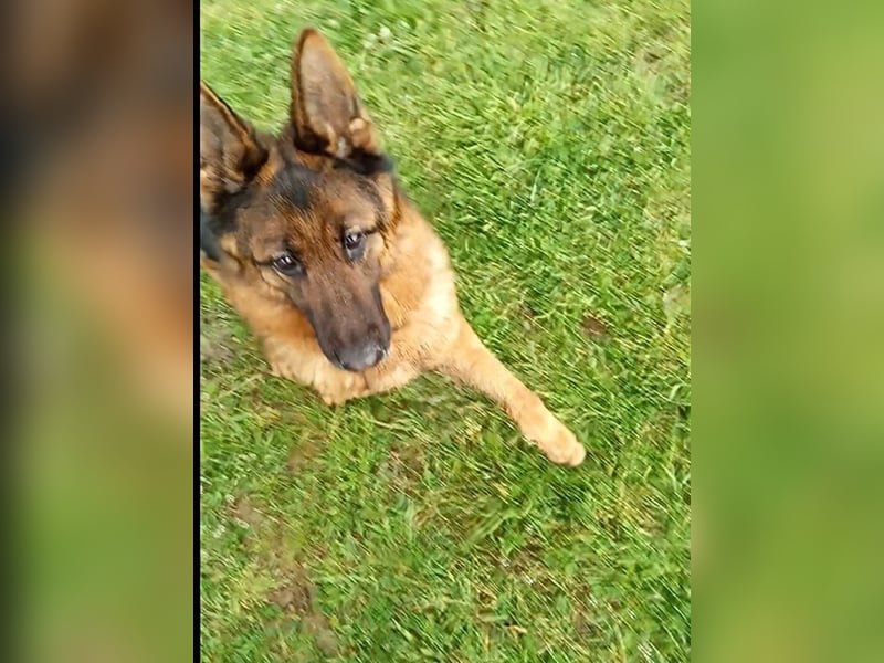 Marvel sucht ihren Menschen