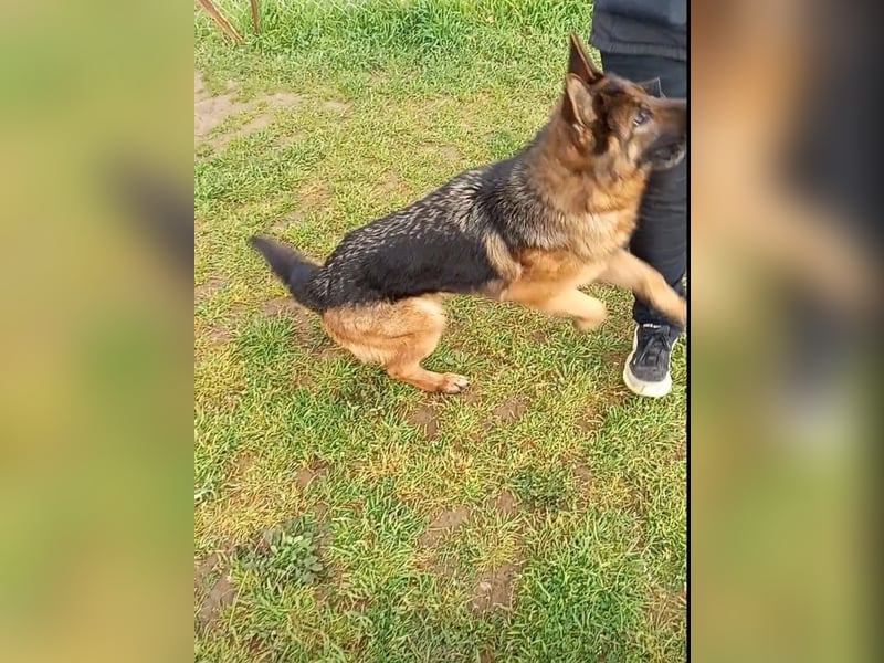 Marvel sucht ihren Menschen