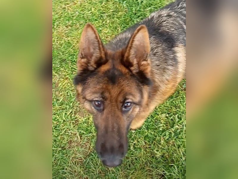 Marvel sucht ihren Menschen