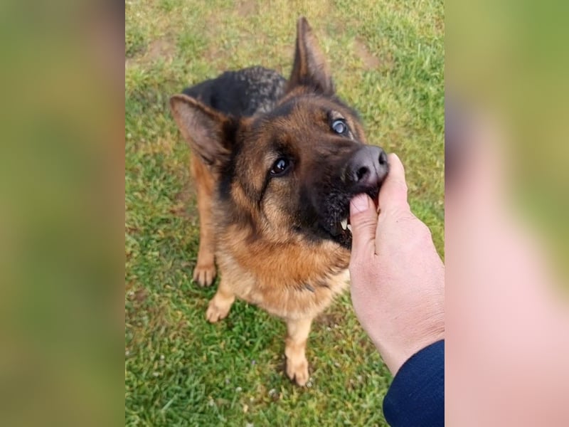 Marvel sucht ihren Menschen