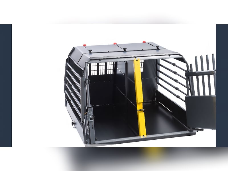 Altdeutsche Schäferhündin „Mia“ & Eurasier „Koda“ nur gemeinsam