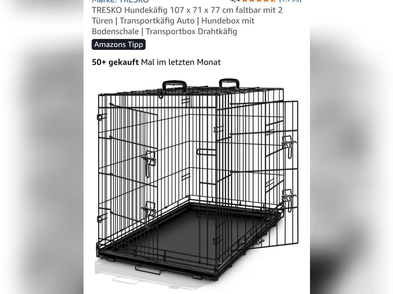 Altdeutsche Schäferhündin „Mia“ & Eurasier „Koda“ nur gemeinsam