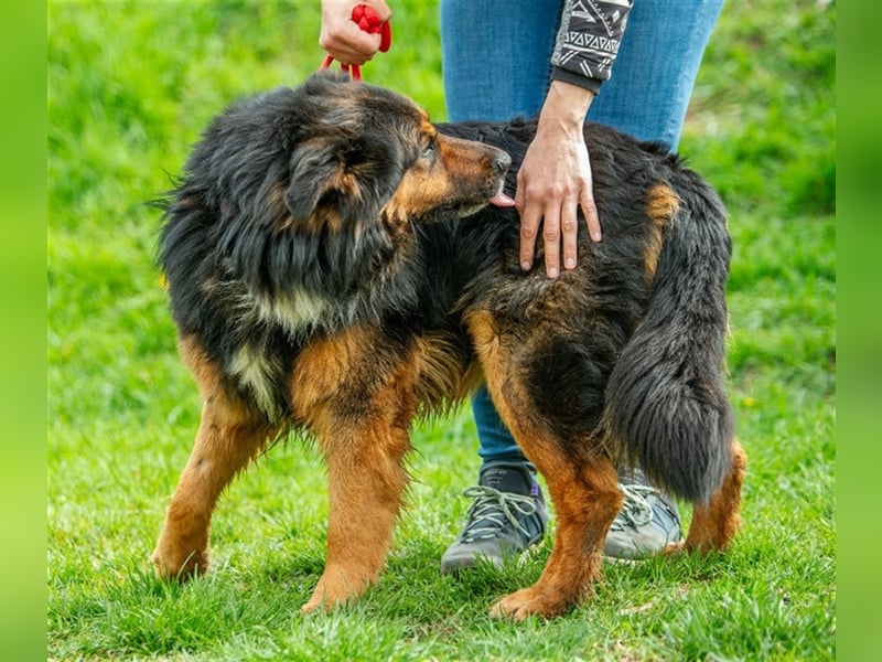 Zümi von kettenlos