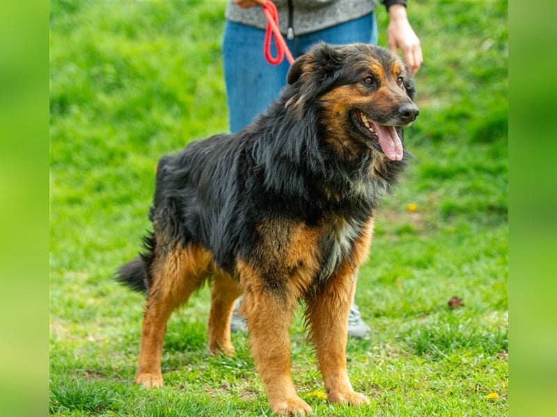 Zümi von kettenlos