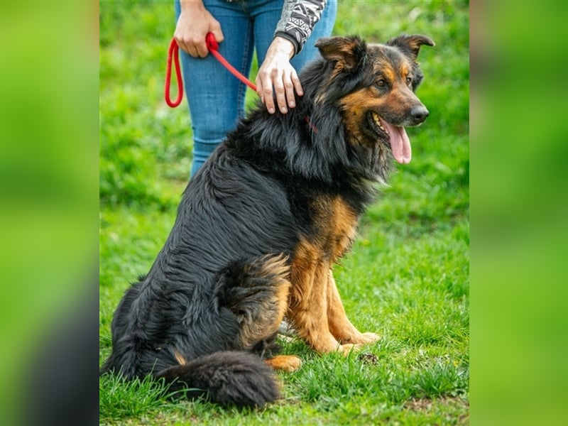 Zümi von kettenlos