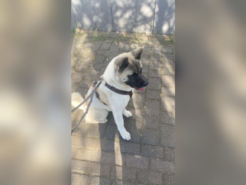 Jord - souverän und selbstsicher