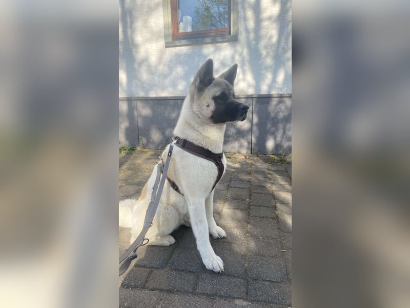 Jord - souverän und selbstsicher