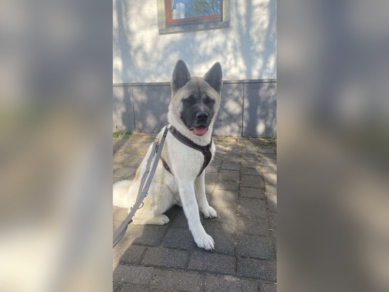 Jord - souverän und selbstsicher