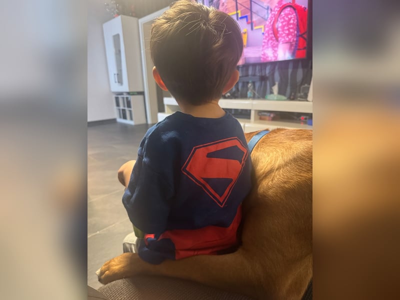 Liebevollen Mischling schweren Herzens abzugeben