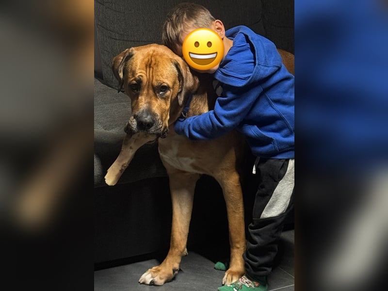 Liebevollen Buddy schweren Herzens abzugeben