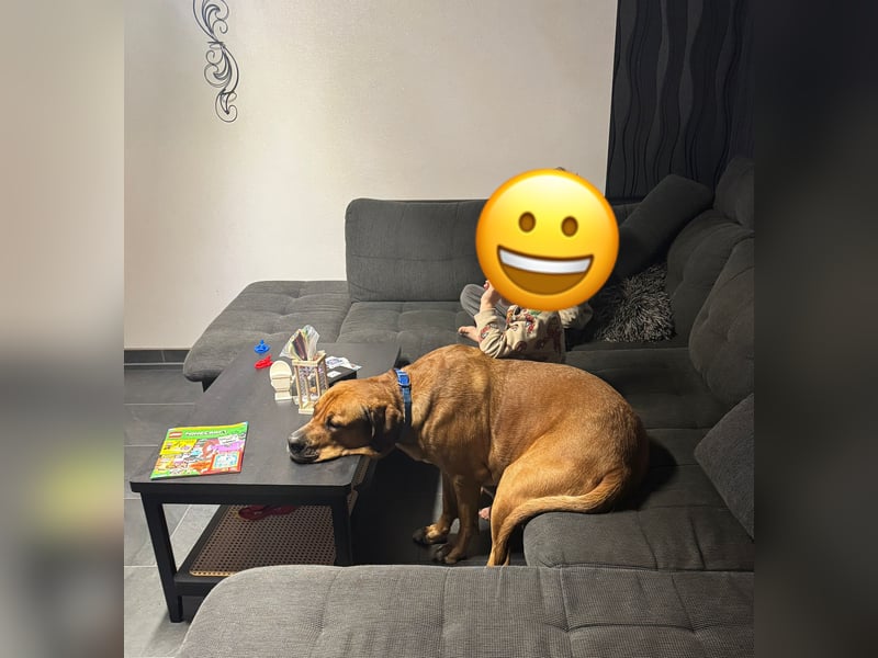 Liebevollen Buddy schweren Herzens abzugeben