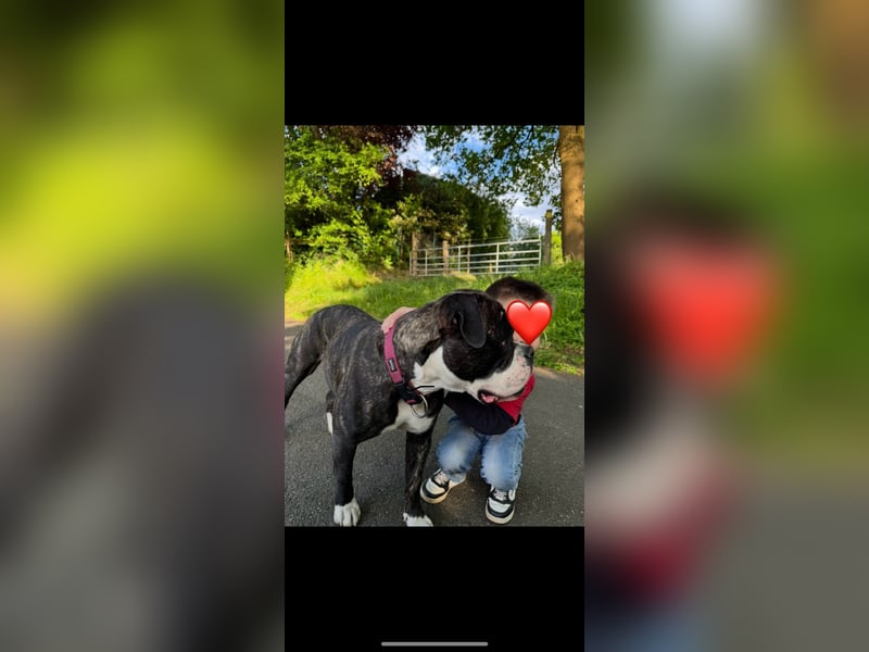 Kiss Aus Not zu verschenken