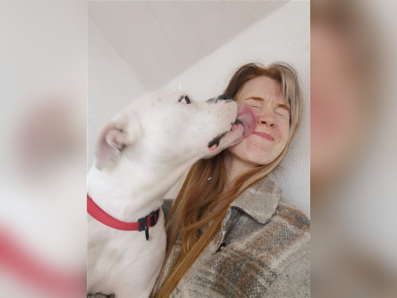 Branca - Knutschkugel sucht kompetente Pflegestelle