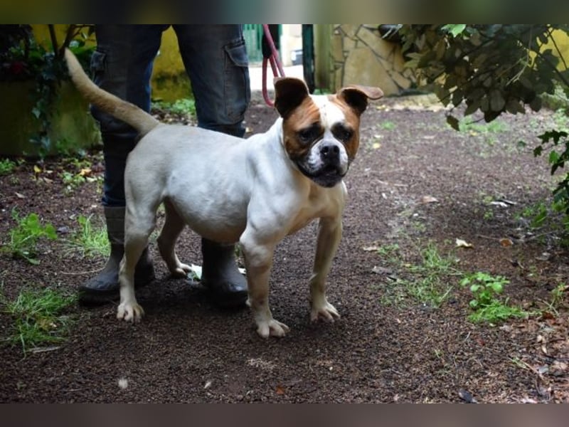 Nereida - Ein harter Platz für ein weiches Herz