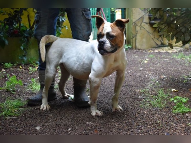 Nereida - Ein harter Platz für ein weiches Herz