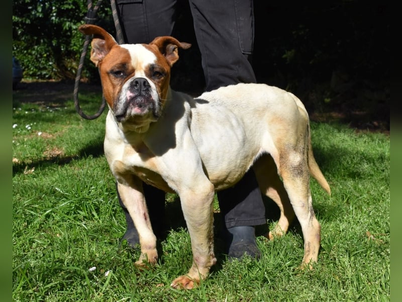 Nereida - Ein harter Platz für ein weiches Herz