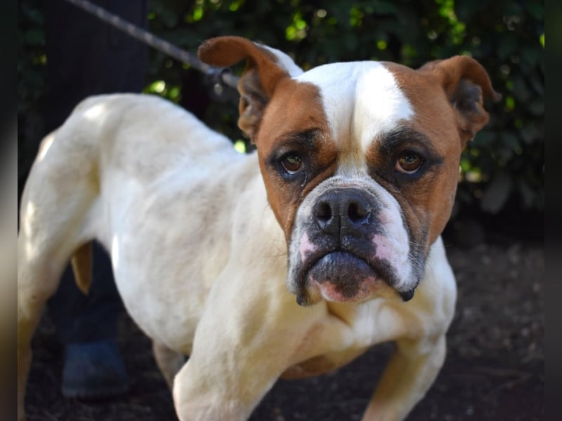 Nereida - Ein harter Platz für ein weiches Herz