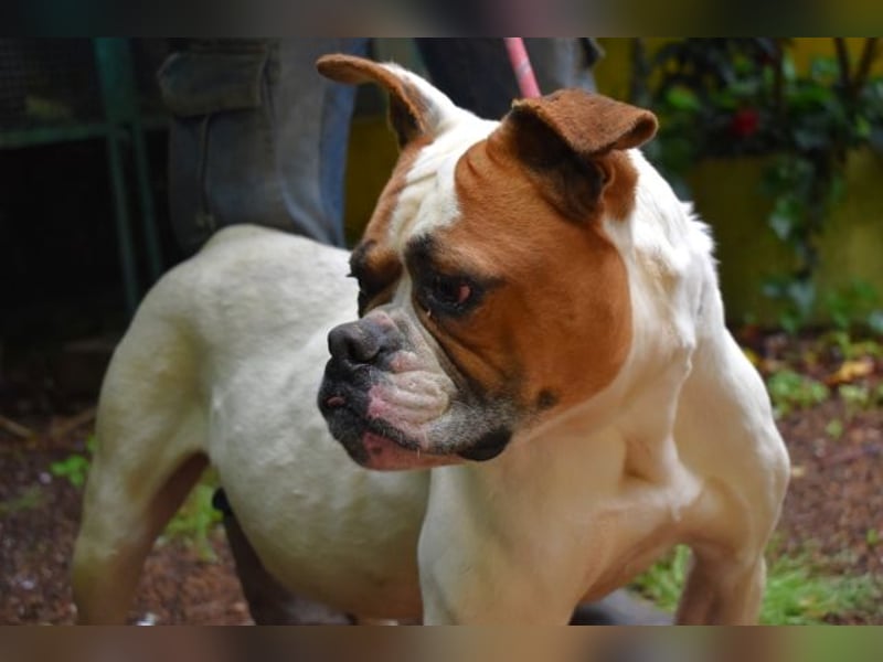 Nereida - Ein harter Platz für ein weiches Herz