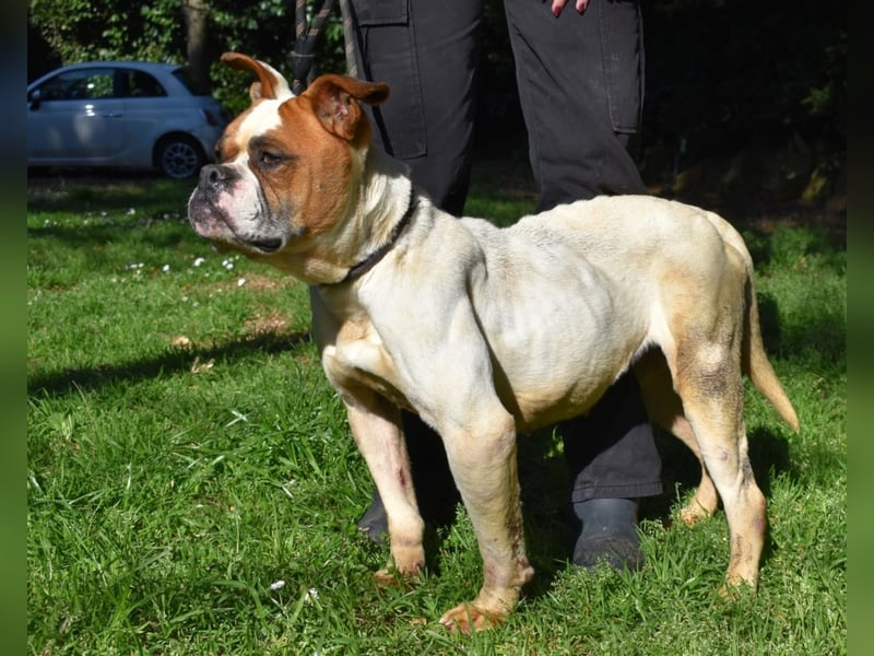 Nereida - Ein harter Platz für ein weiches Herz